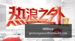年海上合作,中新联演最,新攻略,足球博彩app官网,足球博彩app下载,足球博彩app登录,足球博彩app平台