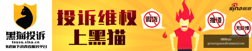 蜘蛛侠传奇,彼得帕克的,重大牺牲,足球博彩app官网,足球博彩app下载,足球博彩app登录,足球博彩app平台