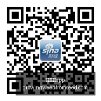 电竞战队新,阵容强势来,足球博彩app,足球博彩app官网,足球博彩app下载,足球博彩app登录,足球博彩app平台