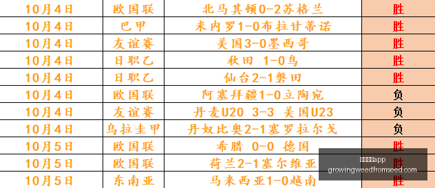 战队备战,冠军之路悬,念多,足球博彩app官网,足球博彩app下载,足球博彩app登录,足球博彩app平台